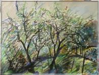 Verger au printemps